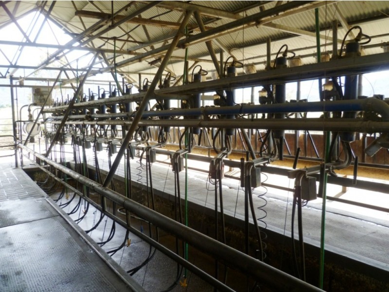 Lot 137 Snowy Mtns Hwy, Bemboka NSW 2550