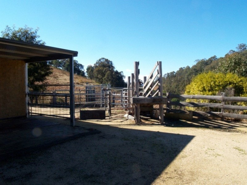 168 Mt Pleasant Rd, Bega NSW 2550