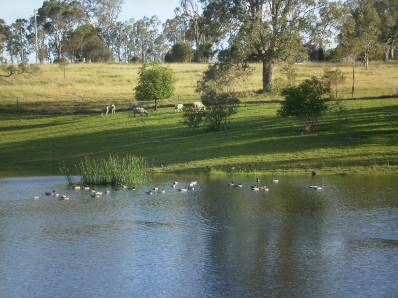 461 Wyndham Lane, Bega NSW 2550