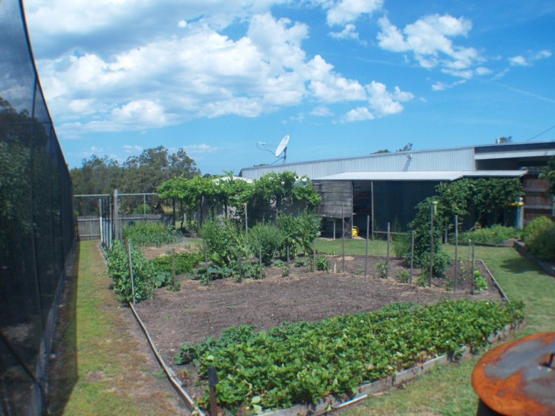 461 Wyndham Lane, Bega NSW 2550
