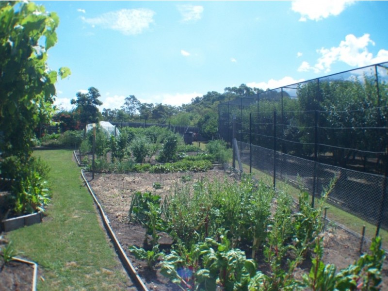 461 Wyndham Lane, Bega NSW 2550