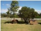 16 Nullica Rd, Tarraganda NSW 2550