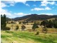 54 Monaro St, Wyndham NSW 2550