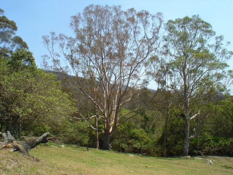 Lot 151 Quinlans Road, Quaama NSW 2550