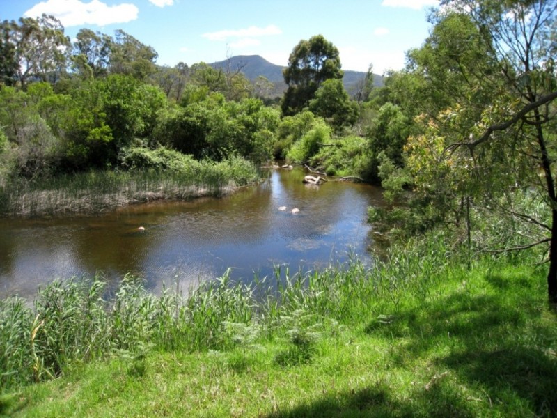 2603 Snowy Mtns Hwy, Bemboka NSW 2550