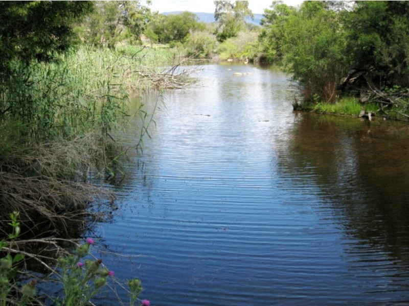 2603 Snowy Mtns Hwy, Bemboka NSW 2550