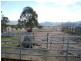 2603 Snowy Mtns Hwy, Bemboka NSW 2550