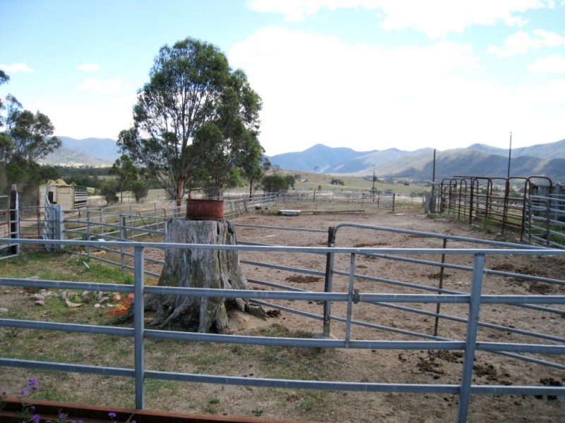 2603 Snowy Mtns Hwy, Bemboka NSW 2550