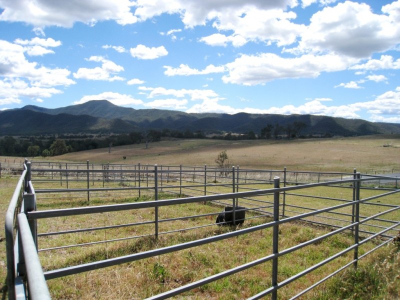2603 Snowy Mtns Hwy, Bemboka NSW 2550