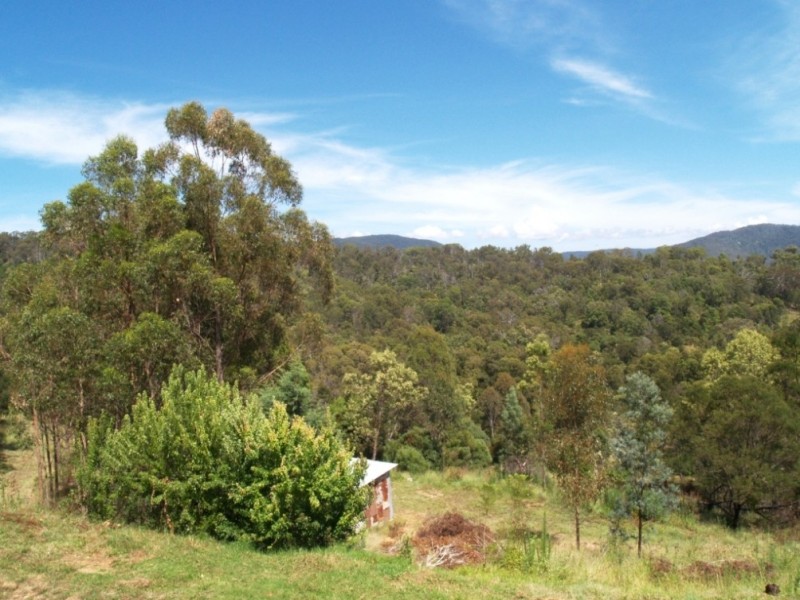 1257 Myrtle Mtn Rd, Candelo NSW 2550