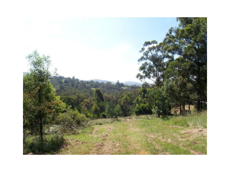 1257 Myrtle Mtn Rd, Candelo NSW 2550