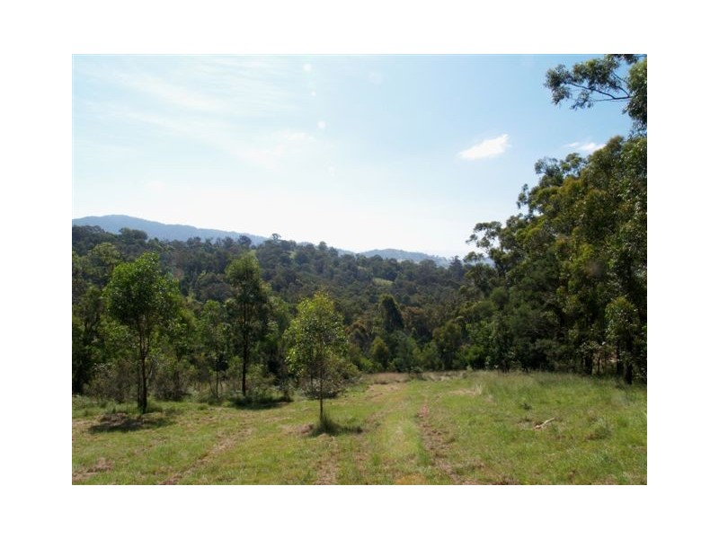 1257 Myrtle Mtn Rd, Candelo NSW 2550