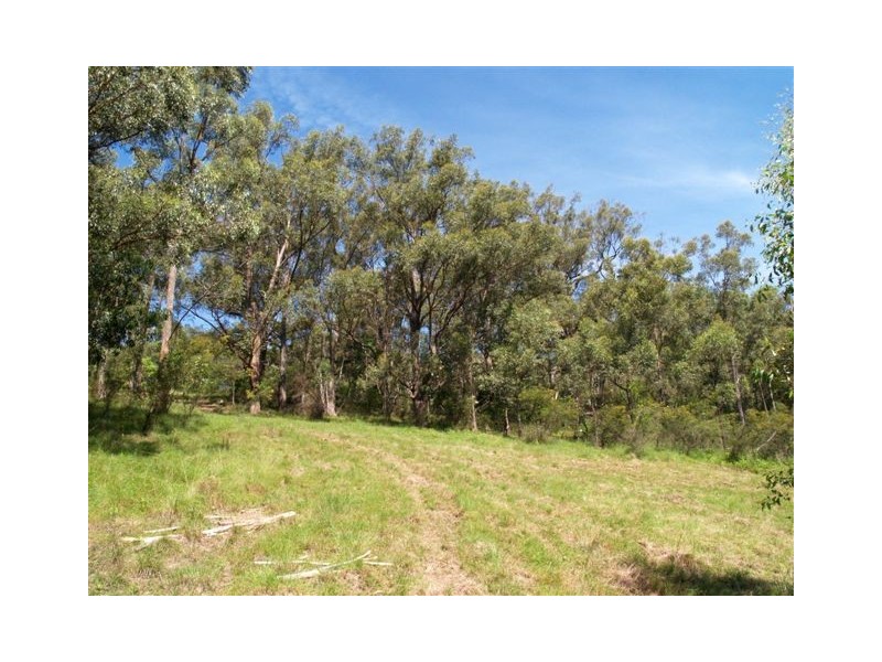 1257 Myrtle Mtn Rd, Candelo NSW 2550