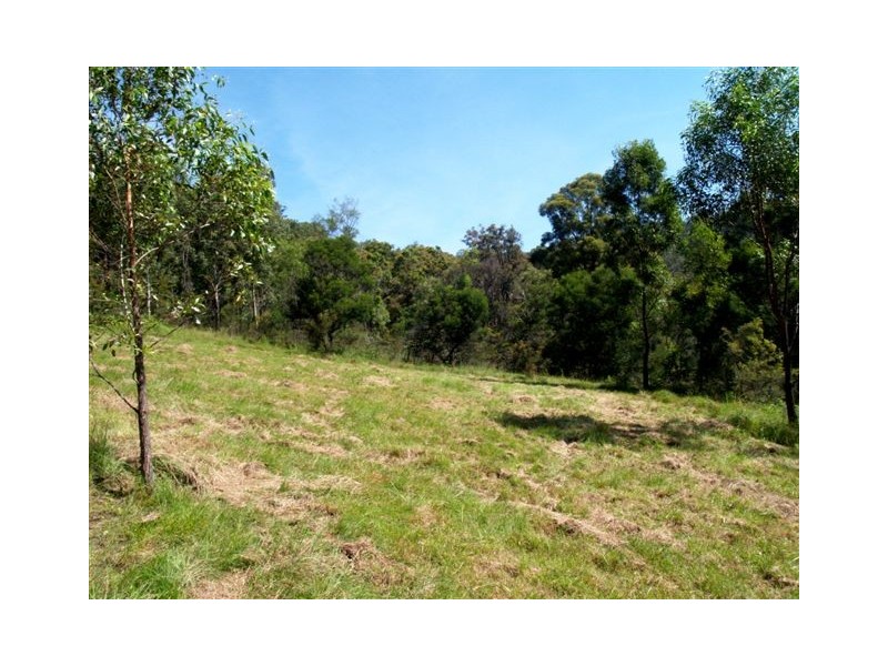 1257 Myrtle Mtn Rd, Candelo NSW 2550