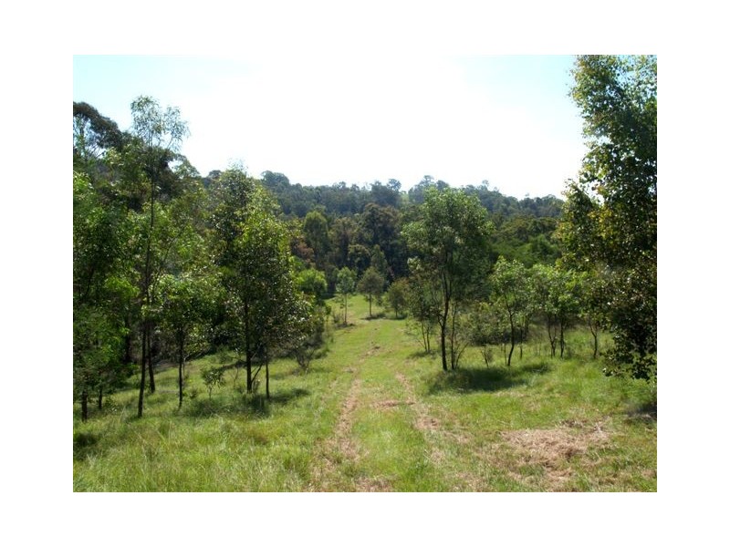 1257 Myrtle Mtn Rd, Candelo NSW 2550