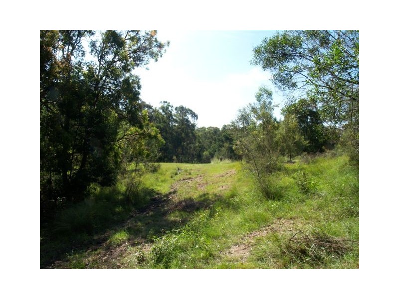 1257 Myrtle Mtn Rd, Candelo NSW 2550