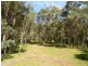 1257 Myrtle Mtn Rd, Candelo NSW 2550