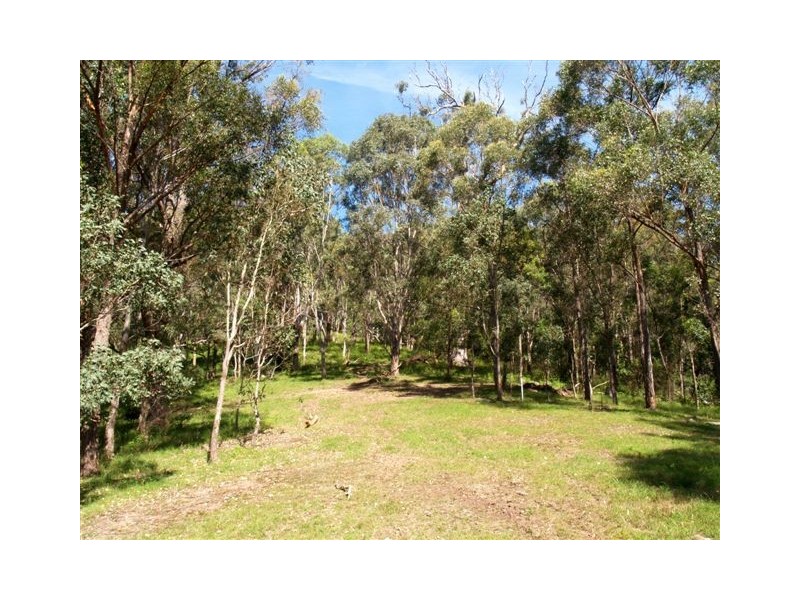 1257 Myrtle Mtn Rd, Candelo NSW 2550