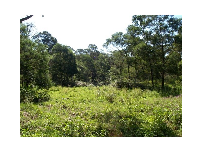 1257 Myrtle Mtn Rd, Candelo NSW 2550