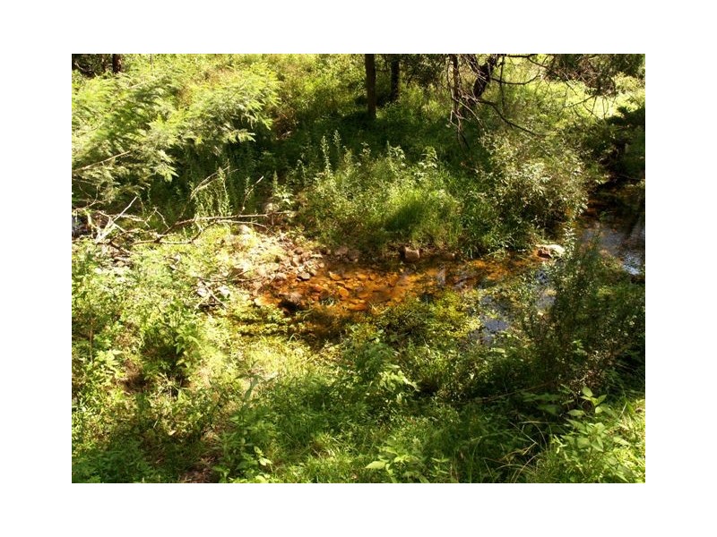 1257 Myrtle Mtn Rd, Candelo NSW 2550