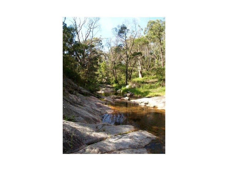 1257 Myrtle Mtn Rd, Candelo NSW 2550