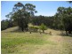 130 Abrams Road, Tanja NSW 2550
