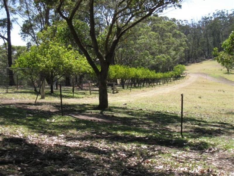 130 Abrams Road, Tanja NSW 2550