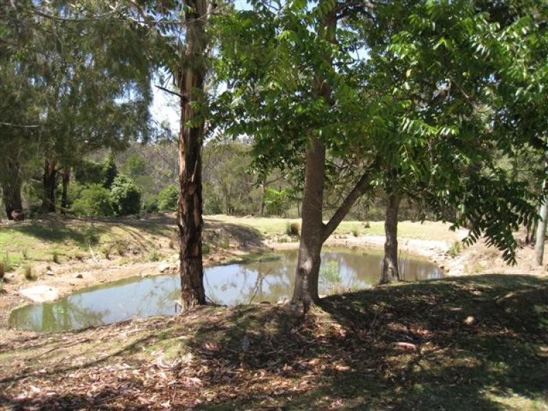 130 Abrams Road, Tanja NSW 2550