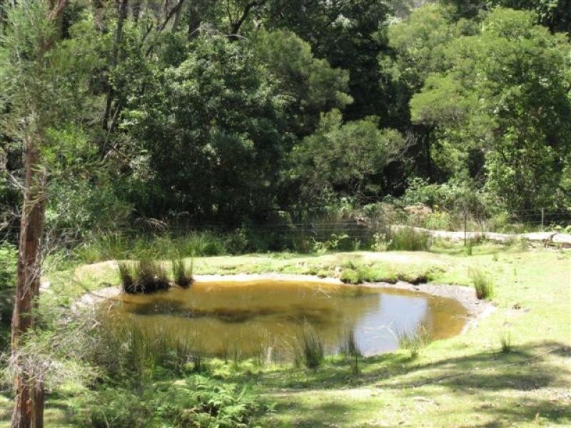 130 Abrams Road, Tanja NSW 2550