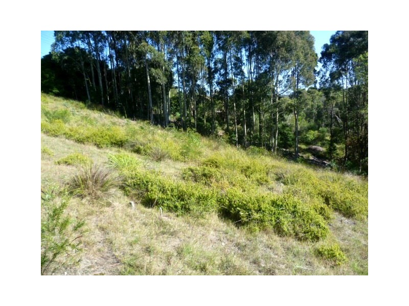 12 Thompsons Dr, Tathra NSW 2550