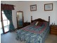 234 Snowy Mountains Hwy, Bega NSW 2550