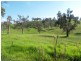 Lot 15 Kerrisons Lane, Bega NSW 2550