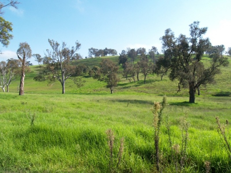 Lot 15 Kerrisons Lane, Bega NSW 2550
