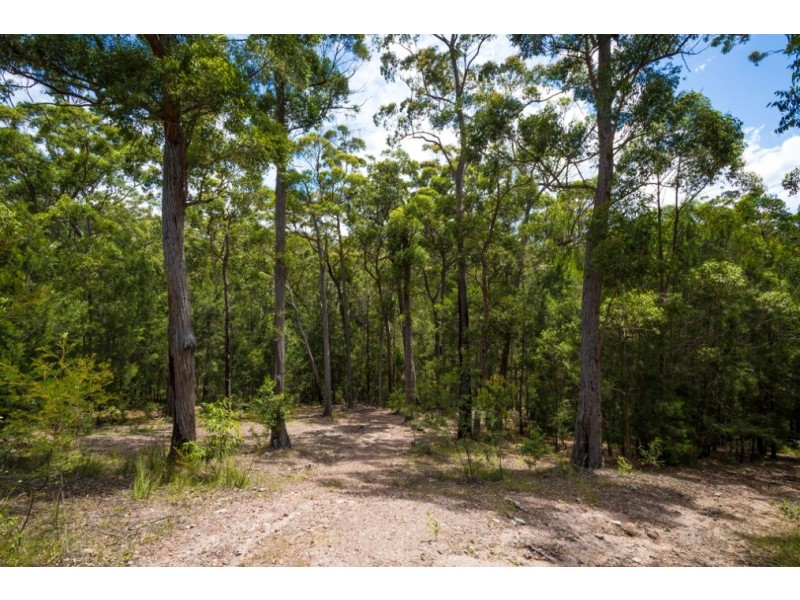 33 Boggy Creek Rd, Millingandi NSW 2549