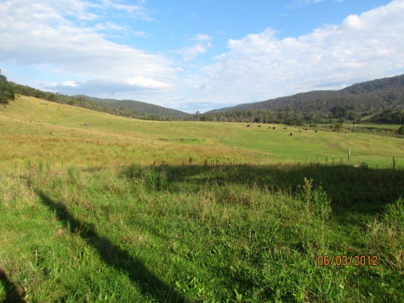 58 New Buildings Rd, Wyndham NSW 2550