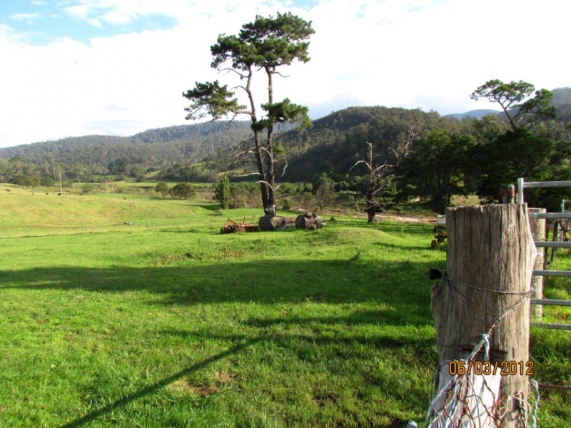 58 New Buildings Rd, Wyndham NSW 2550