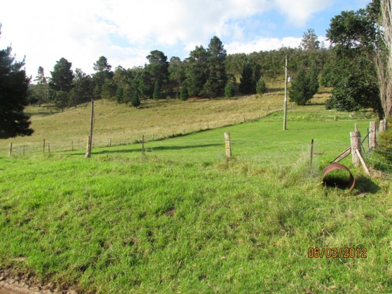 58 New Buildings Rd, Wyndham NSW 2550