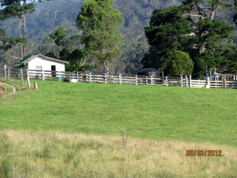 58 New Buildings Rd, Wyndham NSW 2550