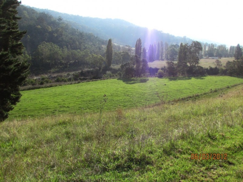 58 New Buildings Rd, Wyndham NSW 2550