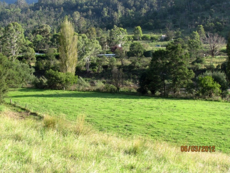 58 New Buildings Rd, Wyndham NSW 2550