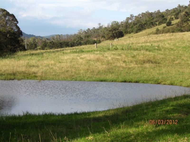 58 New Buildings Rd, Wyndham NSW 2550