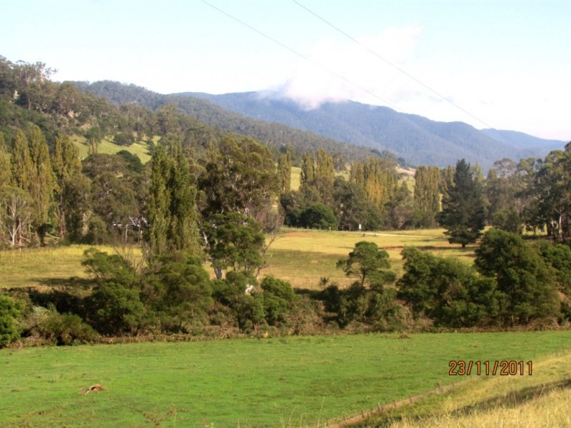 58 New Buildings Rd, Wyndham NSW 2550