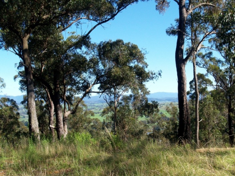 150 Dr George Mtn Rd, Bega NSW 2550