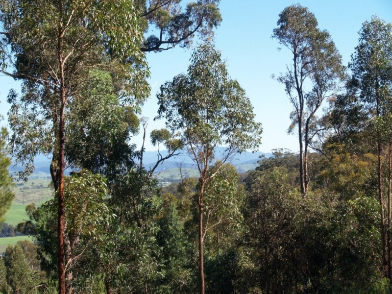 150 Dr George Mtn Rd, Bega NSW 2550