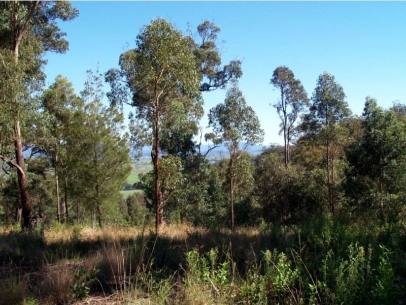 150 Dr George Mtn Rd, Bega NSW 2550