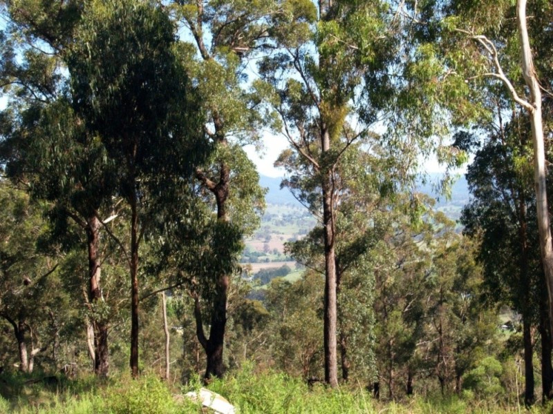 150 Dr George Mtn Rd, Bega NSW 2550