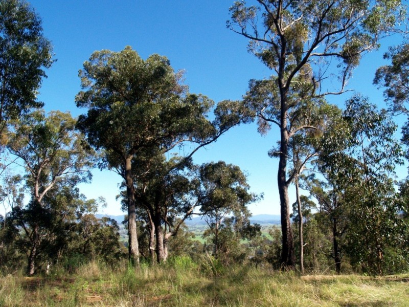 150 Dr George Mtn Rd, Bega NSW 2550