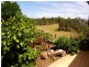 481 Myrtle Mountain Road, Wyndham NSW 2550