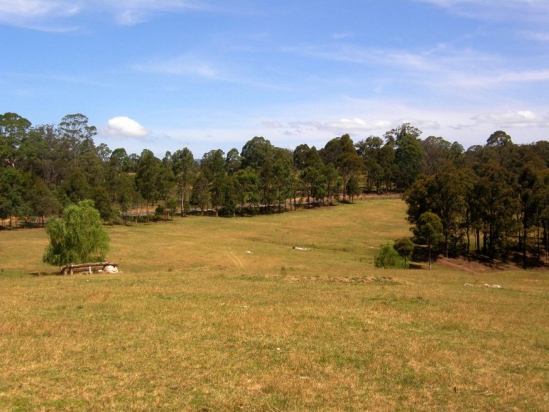 481 Myrtle Mountain Road, Wyndham NSW 2550