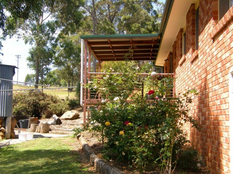 481 Myrtle Mountain Road, Wyndham NSW 2550
